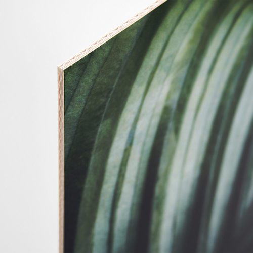 A foamless foamcore sign printed with an image of dark green leaves.