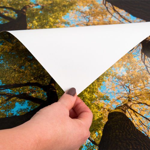 A hand pulling back the corner of a paper-based backlit film sign printed with a tree design.