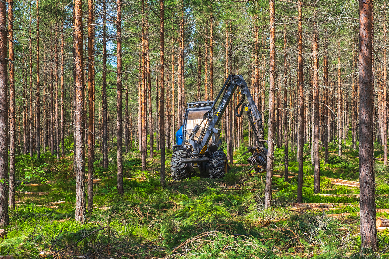 A piece of machinery equipment in the middle of a forest harvesting trees.